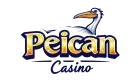 Logo pelican-official.photographerswithdisabilities.org